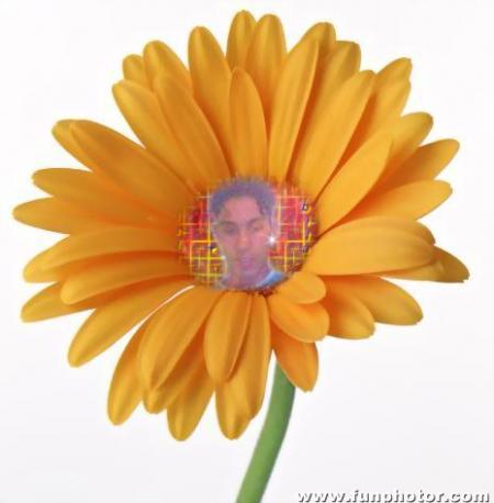 fkhatar hbabna